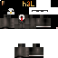 Texture for pinguino