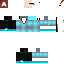 Texture for fs