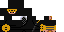 Texture for GOLDEN NINJA