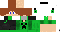 Texture for Creeper skin