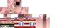 Texture for Usavich2