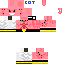 Texture for SFDSF