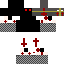 Texture for Crusader