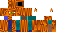 Texture for R cat