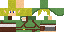 Texture for Link