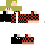 Texture for igor