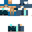 Texture for NERD