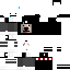 Texture for PineappleMC