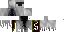 Texture for Wraith