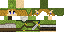 Texture for Link