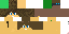Texture for pepesinhocraft