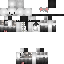 Texture for cat