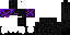 Texture for The Enderlord