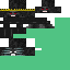 Texture for Wither