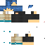Texture for Rolopes