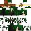 Texture for elven koning 2 2.0