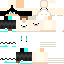 Texture for STEVE