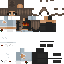 Texture for Possible Nika