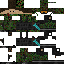 Texture for Shortmoon V1