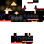 Texture for 321