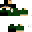 Texture for Alexander Hamilton 