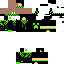 Texture for GREEN player