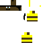Texture for Priest