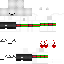 Texture for ss
