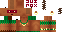 Texture for Native Swag