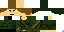 Texture for SCM Winter