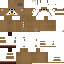 Texture for agora sim