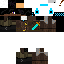 Texture for max
