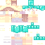 Texture for Disguse