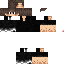 Texture for Max00 version 5