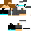 Texture for 789