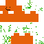 Texture for orange