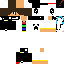 Texture for Max529