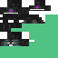 Texture for wither storm