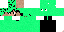 Texture for dsankej