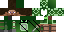 Texture for creeb assassin