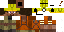 Texture for Miner