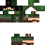 Texture for Link