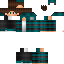 Texture for steve
