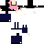 Texture for shach＿teikou