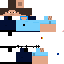 Texture for gemdarme2