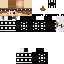 Texture for ds