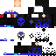 Texture for Ice Ninja