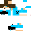 Texture for loko_br-pr