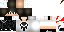 Texture for fh