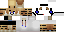 Texture for FoxBoy